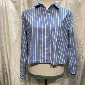 Everlane Women’s Small, Cropped, Button Down Striped Long Sleeve